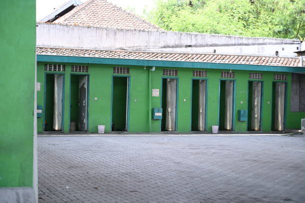 Best Affordable portable toilet rental  in Dexter, OR
